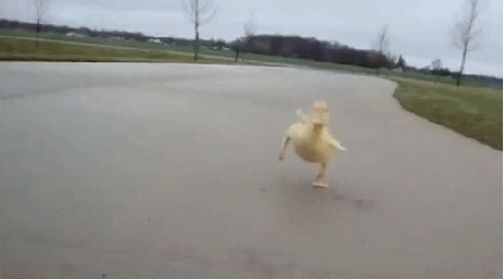 first periods waddle